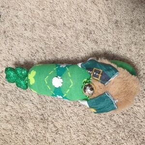 Saint Patrick's Day gnome.